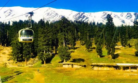 Gondola cars above pine forest in Gulmarg