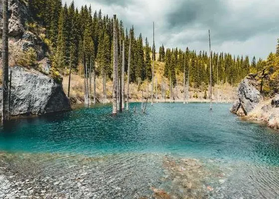 Submerged forest in Kaindy Lake